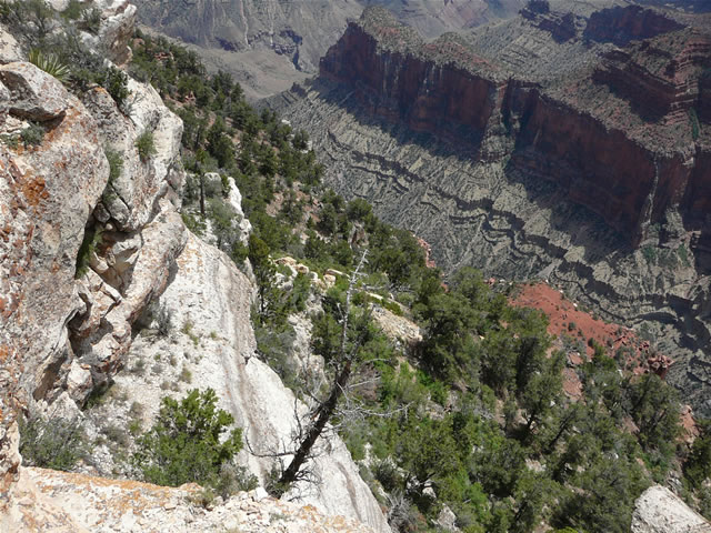 images/Hiking North Rim  to Bright Angel Point (32).jpg